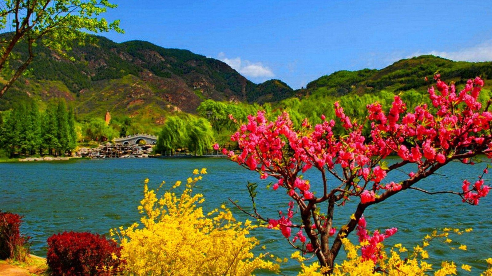 kashmir 3